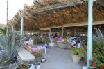 La Luna - Mykonos Beach Restaurant suitable for beachwear attire