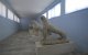  Archaeological Museum of Delos