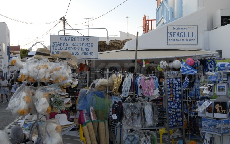 Seagull - _MYK0123 - Mykonos, Greece